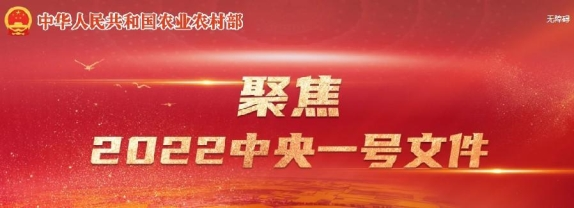 图片34.png